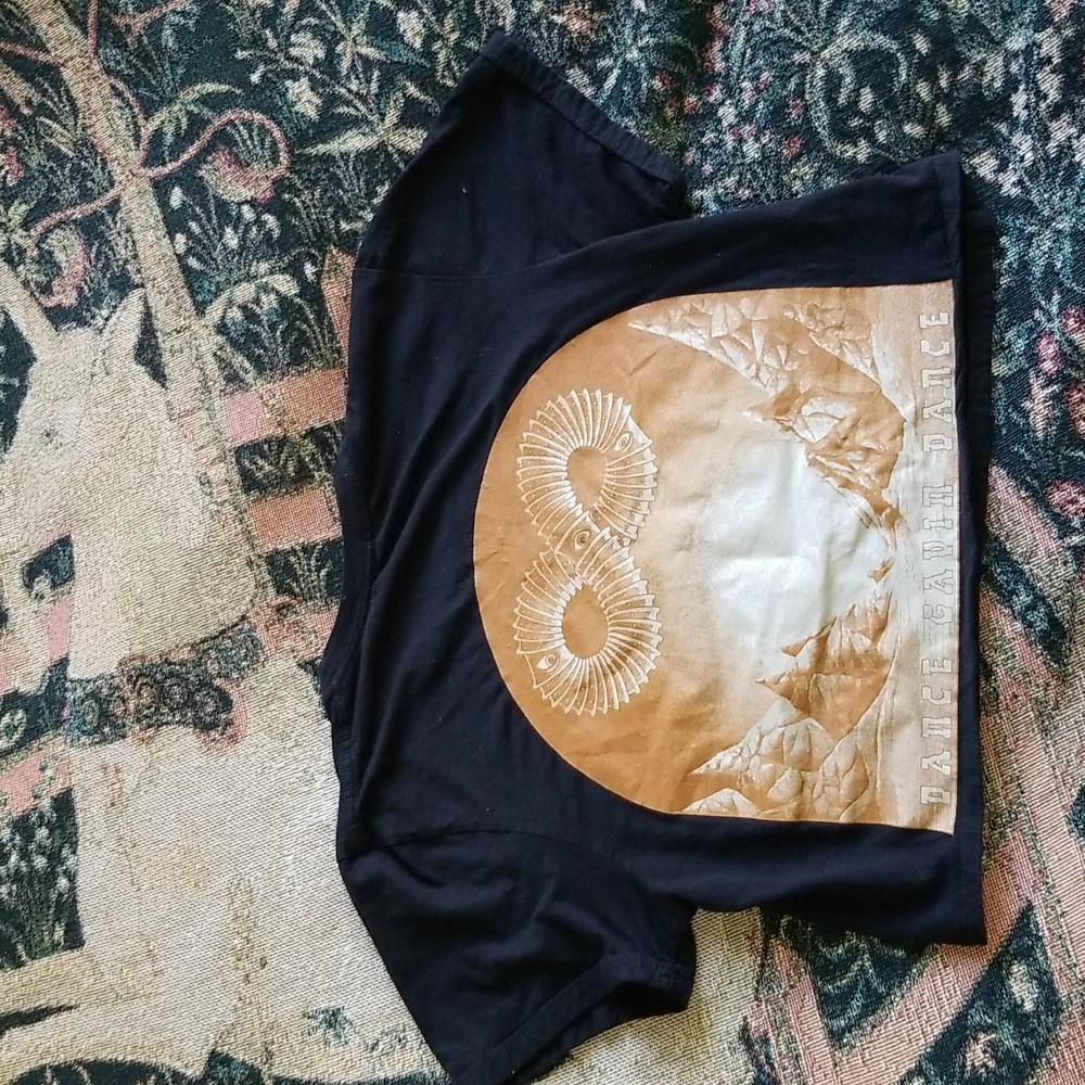 Dance Gavin Dance Crop Tee - image 2